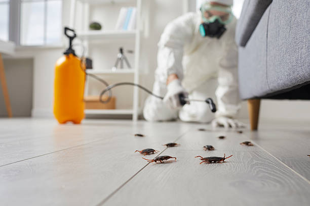 Commercial Kitchen Cockroach Control in Manahawkin